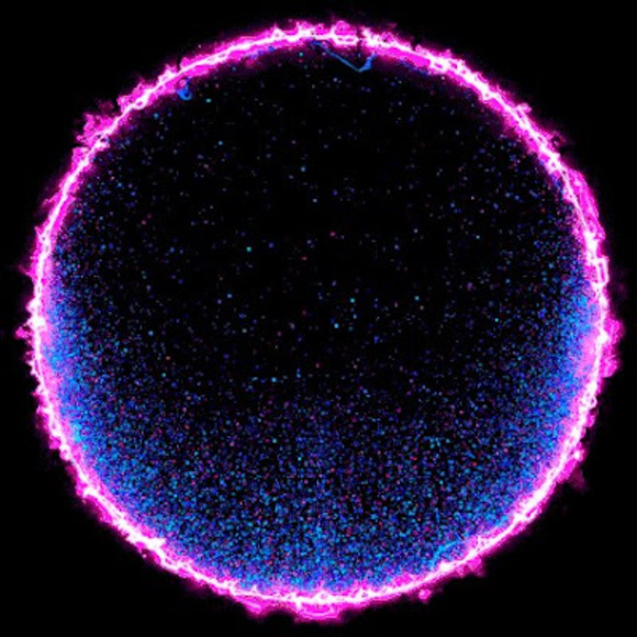 Meet your Posher, Christian - Picture 1 of 1